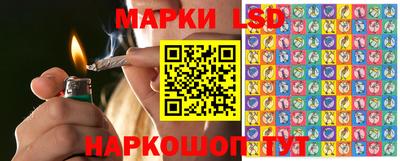 прущий лед Тара